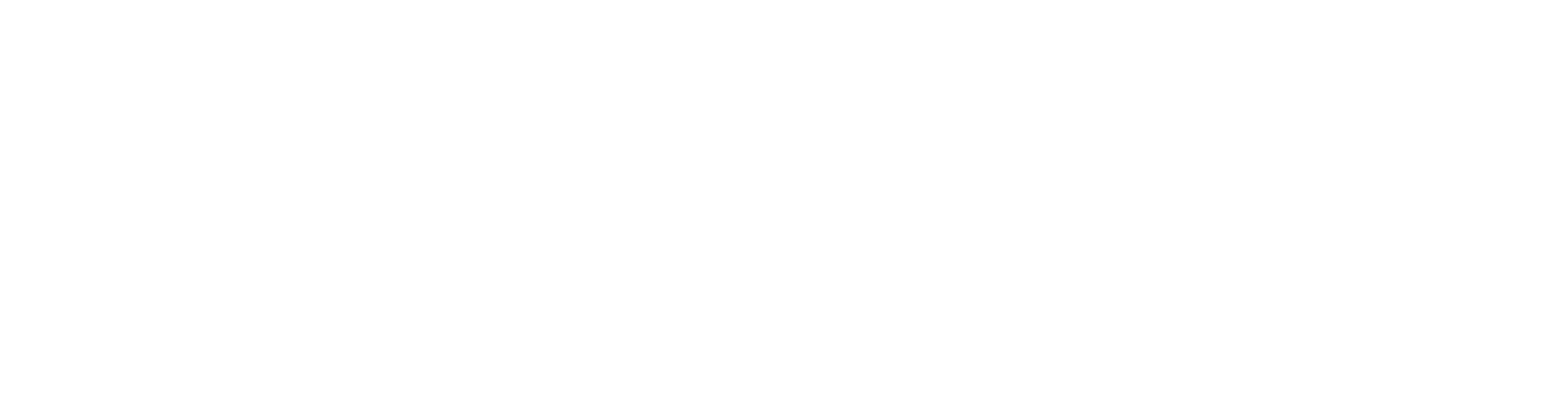 Project13 Logo